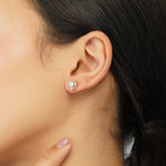 Load image into Gallery viewer, Tri Lumina