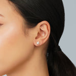 Load image into Gallery viewer, Flowers of Light