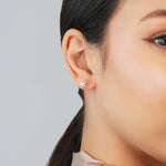 Load image into Gallery viewer, Flowers of Light